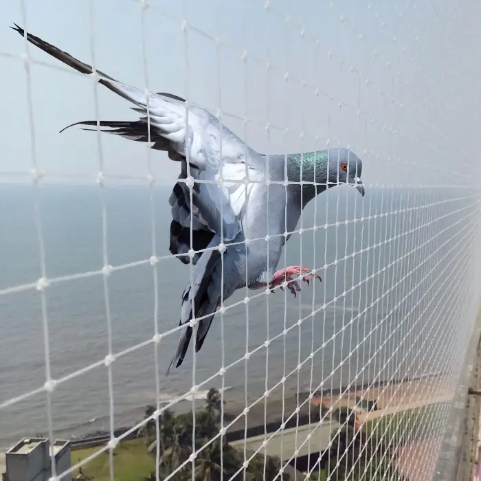 Bird net and pigeon net installation on Mumbai terrace